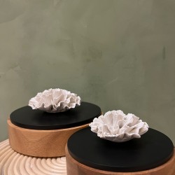 Box CHAN S/2   wood & black