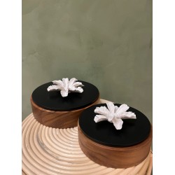 Box PALMI S/2   wood & black