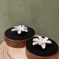Box PALMI S/2   wood & black