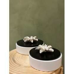 Box PILAMO S/2    white & black