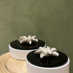 Box PILAMO S/2    white & black