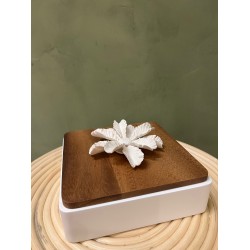 Box LUXOR   square wood & white
