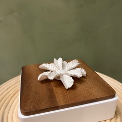 Box LUXOR   square wood & white