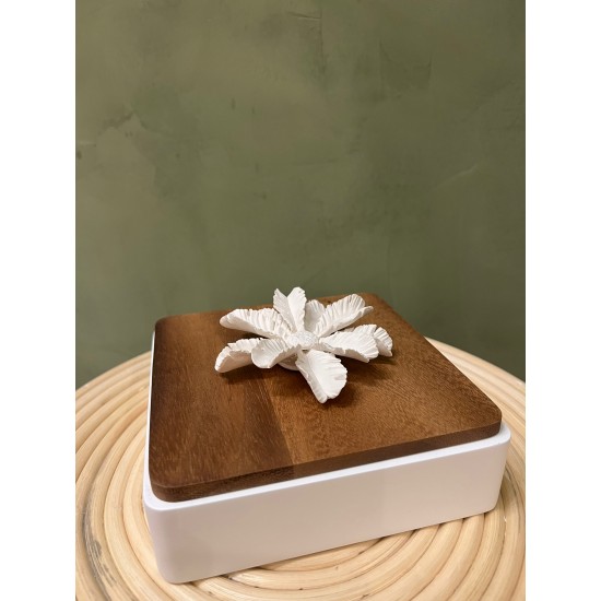 Box LUXOR   square wood & white