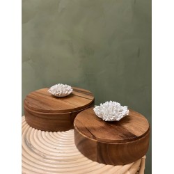 Box THUAN S/2   wood
