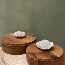 Box THUAN S/2   wood