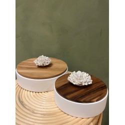 Box NAMI S/2   white & wood