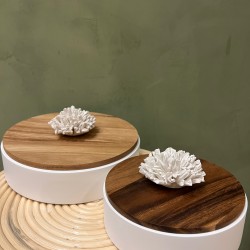 Box NAMI S/2   white & wood