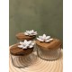 Glass LOTUS Box S/3  