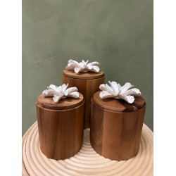 Box CYLA S/3   