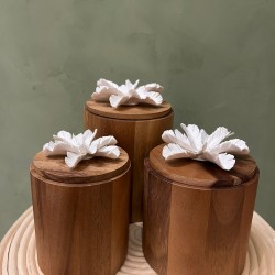 Box CYLA S/3   
