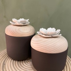 Candy box S/2  