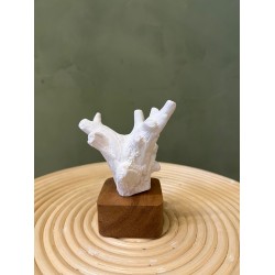 Sculpture Kino  