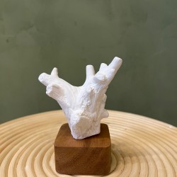 Sculpture Kino  