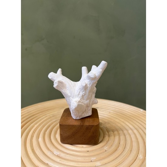 Sculpture Kino  